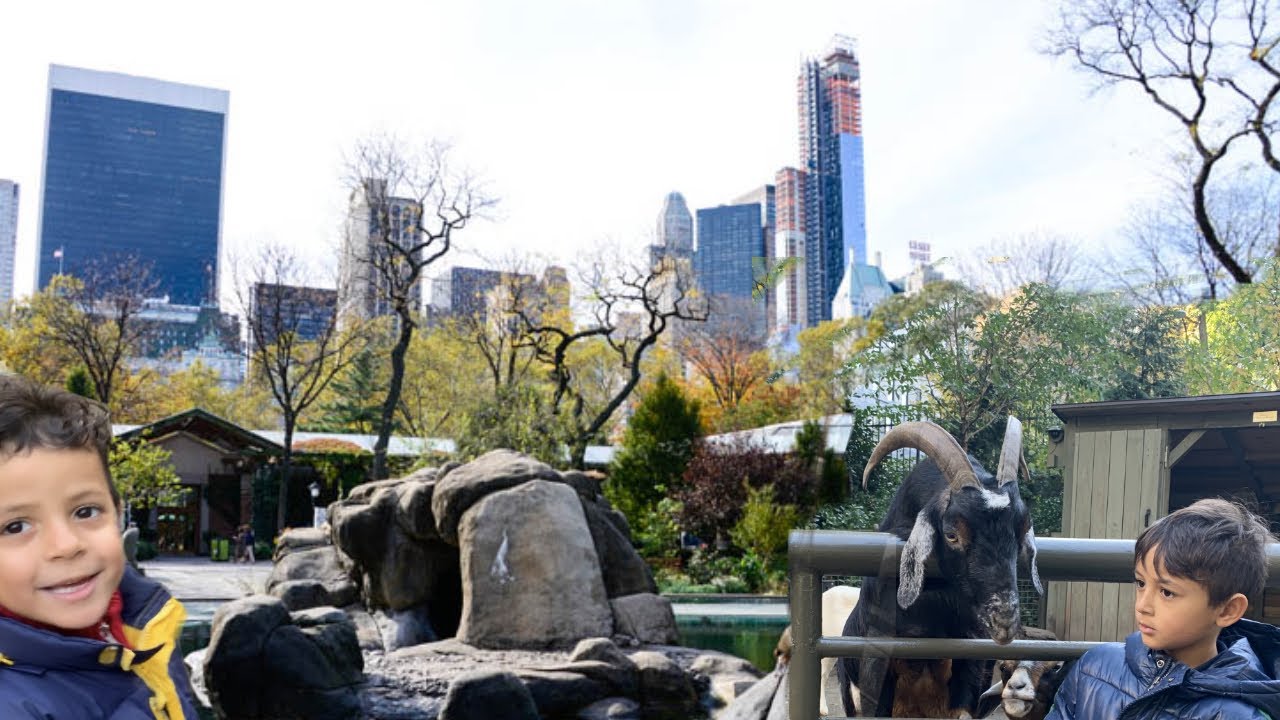 Lord and Joe visiting Central Park Zoo Times Square , Madame Tussauds New York City