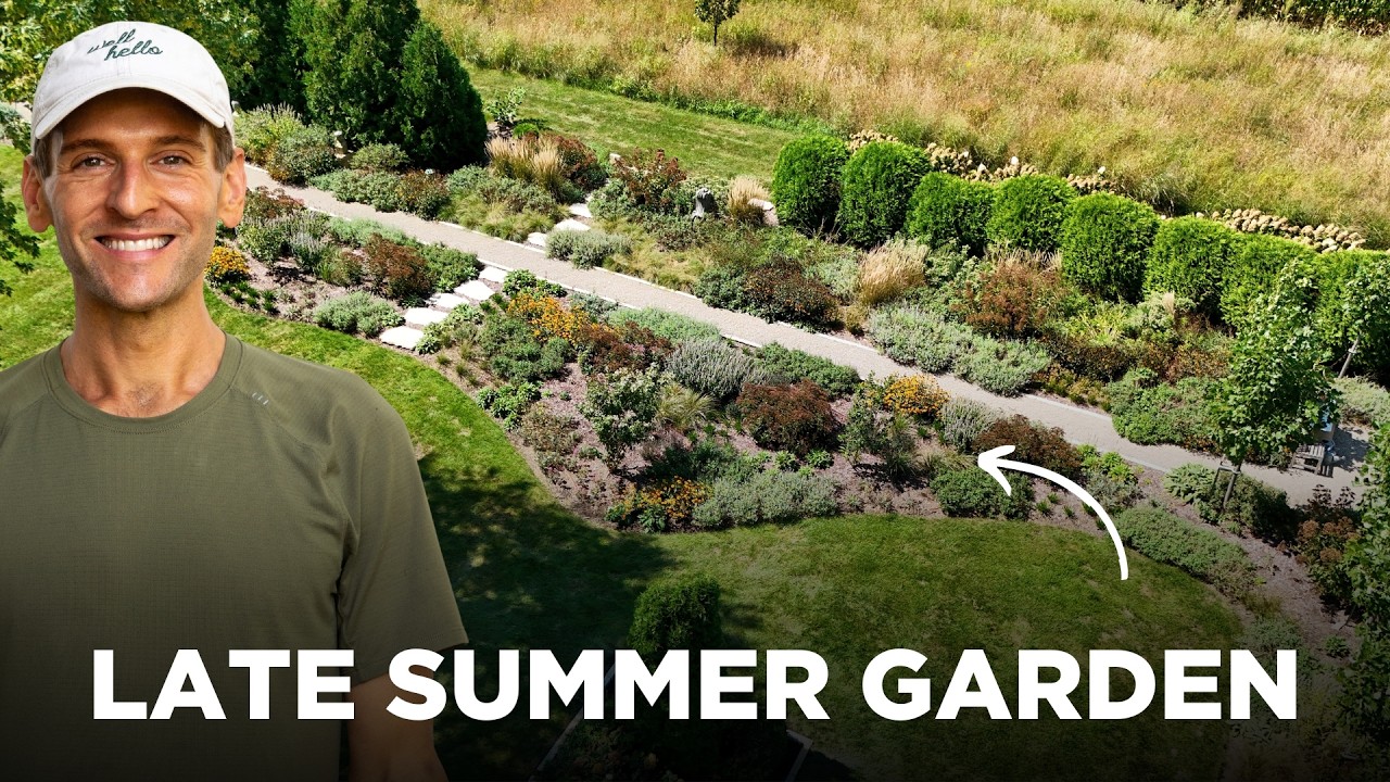 What Too Much Rain Did to My Garden