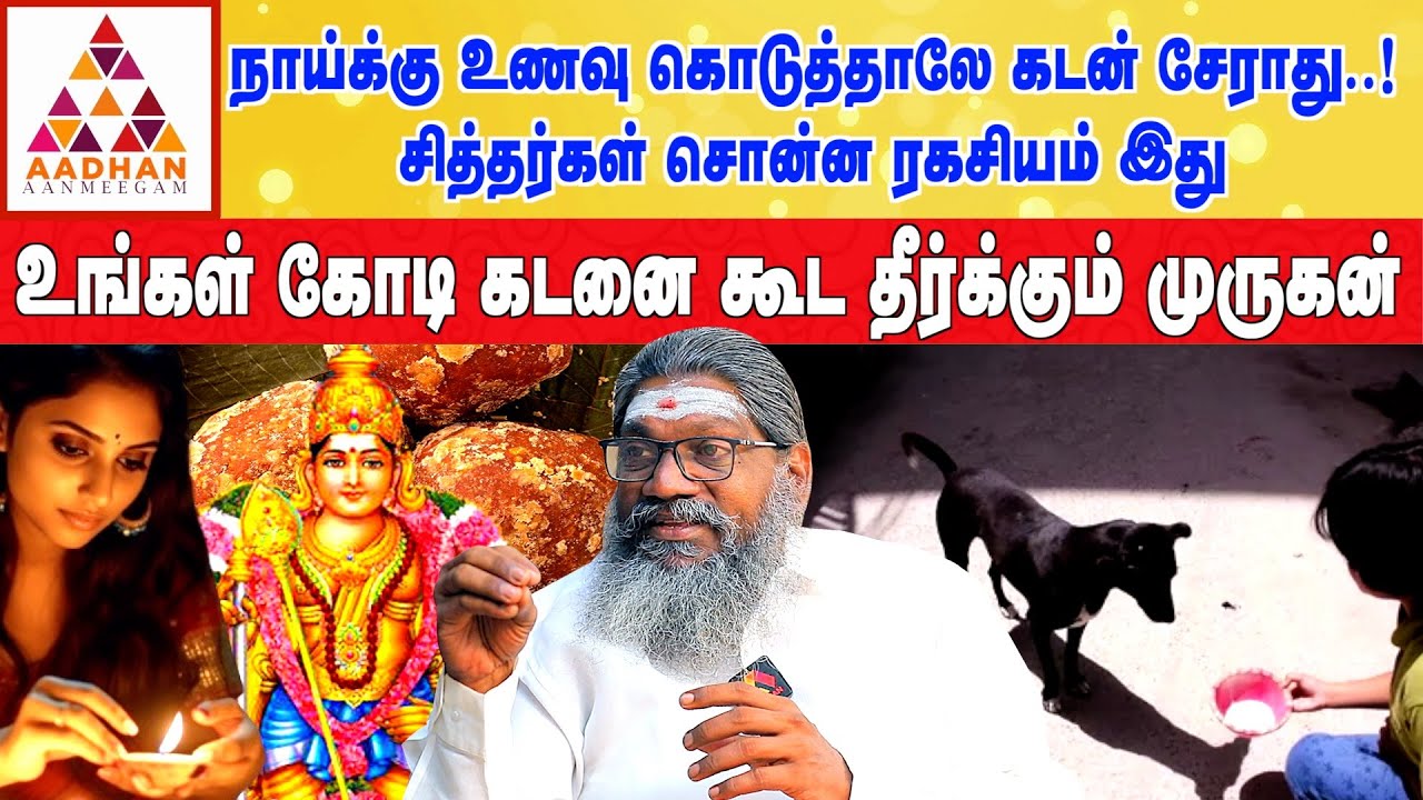 கொஞ்ச வெல்லம் போதும் உங்க கடனை தீர்க்க | பாலாறு சுவாமிகள் | #பரிகாரம் #alpastrology