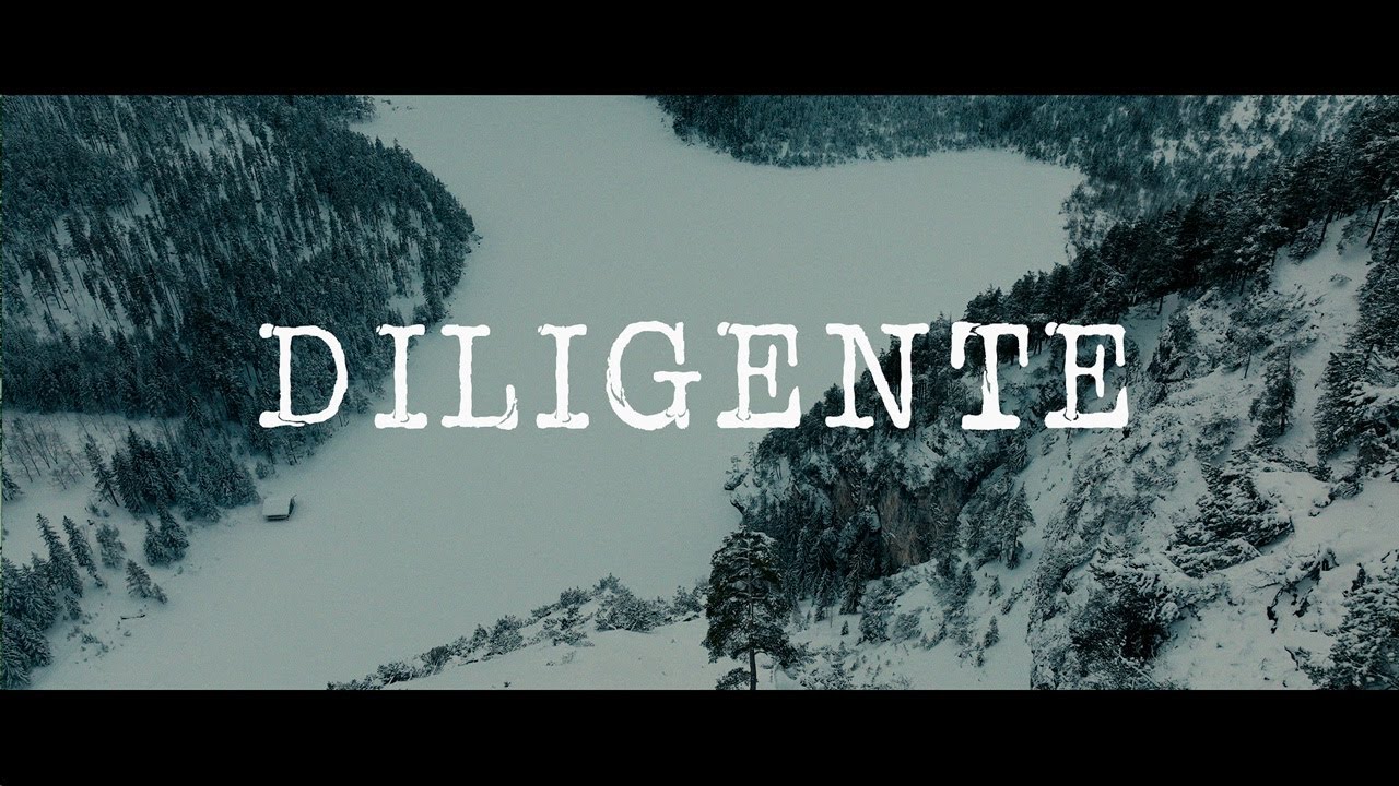 ZEN P - DILIGENTE
