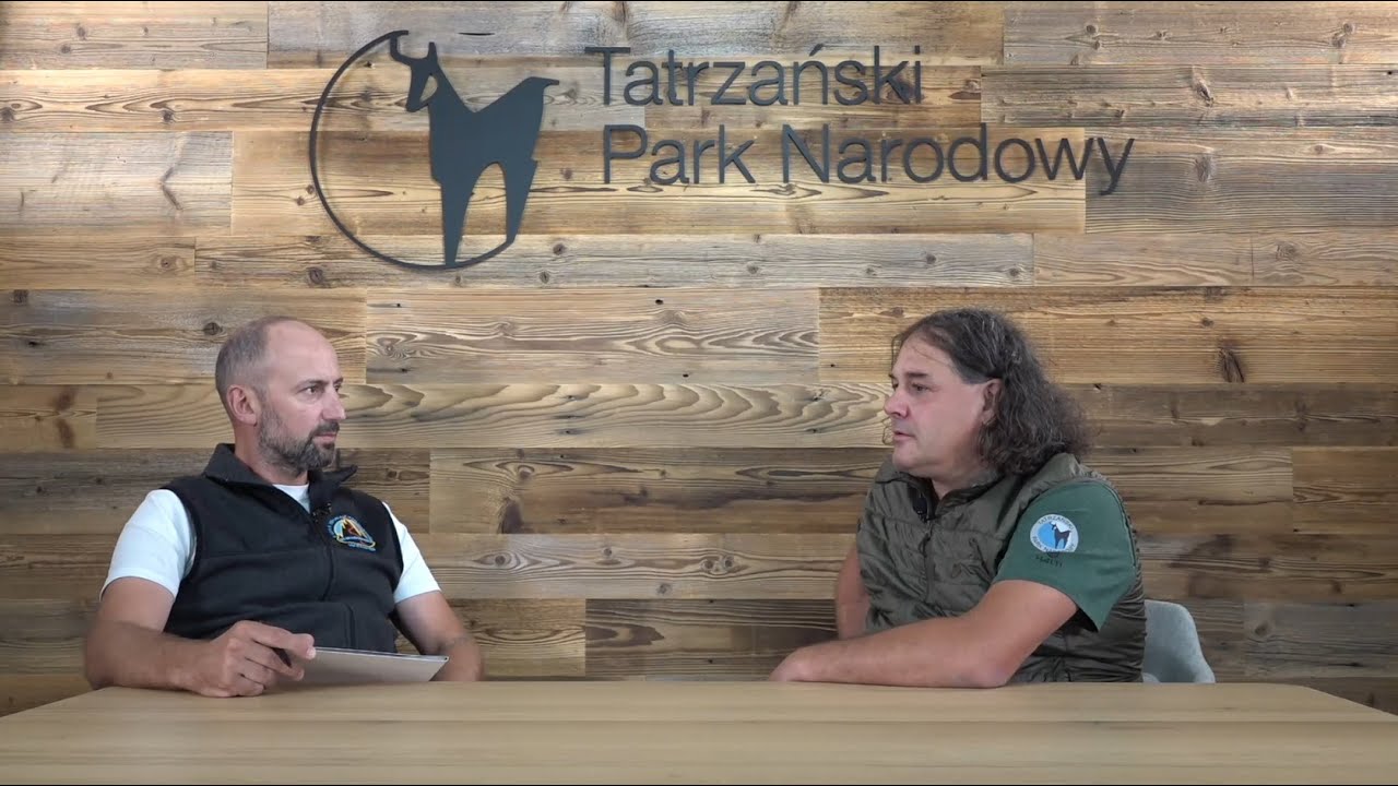 Niedźwiedzie | Filip Zięba, ekspert Tatrzańskiego Parku Narodowego | #WToMiGrań #5 #TPN