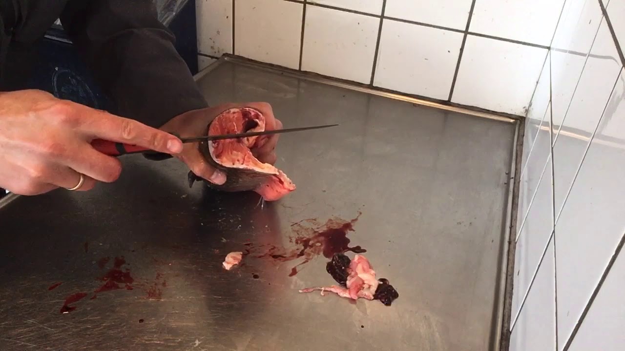 S&aring;dan renser og fileterer du en &oslash;rred!
