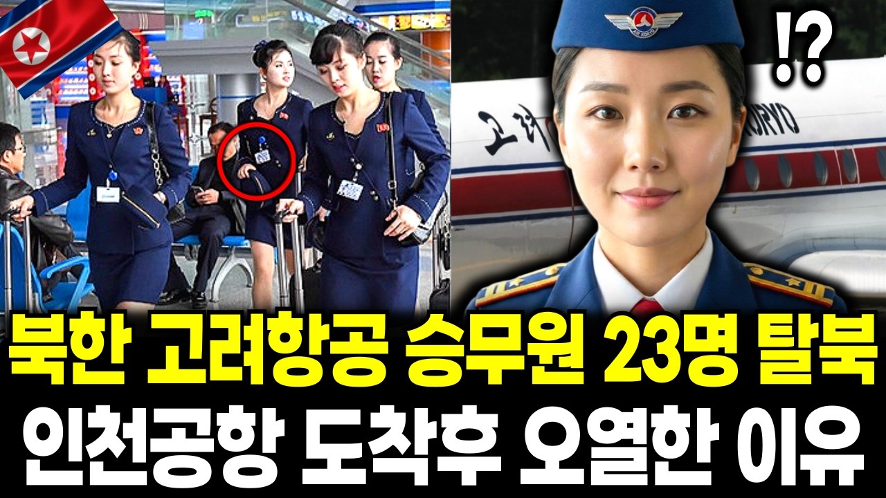 북한 고려항공 승무원 23명 단체로 탈북, 인천공항 도착3초만에  오열한 이유[탈북민사연]