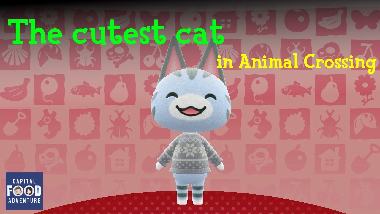 We invite Lolly the Cat - Animal Crossing - diversity matters