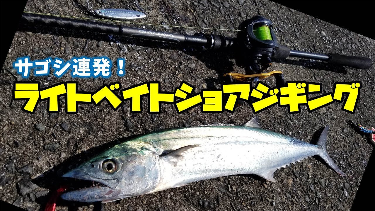 【LSJ】ライトベイトショアジギングでサゴシを狙う！！！Light bait shore jigging