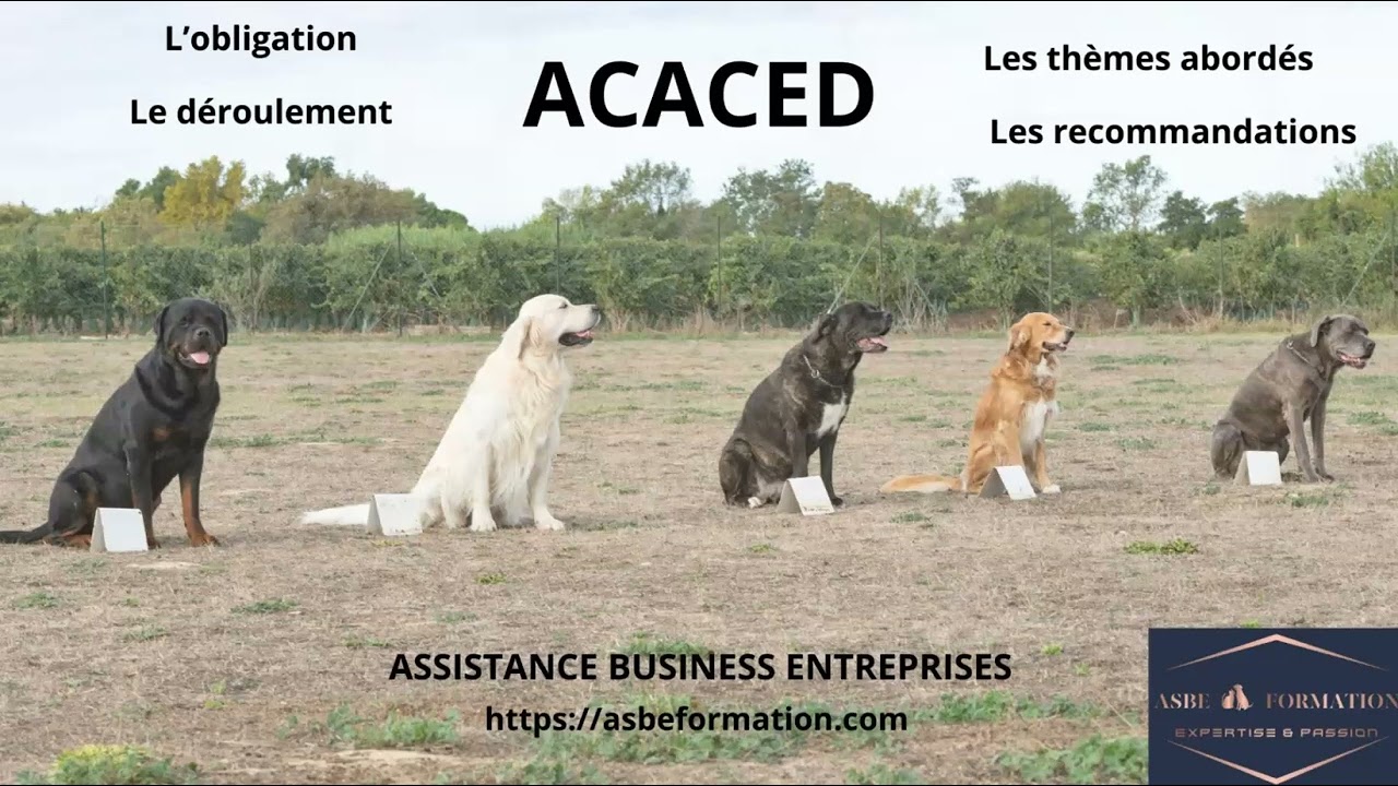 Passez l'ACACED tranquille avec ces quelques conseils de Tata Véro !