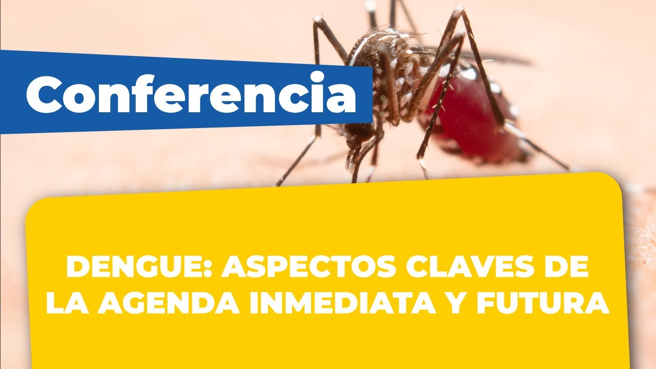 DENGUE: ASPECTOS CLAVE DE LA AGENDA INMEDIATA Y FUTURA