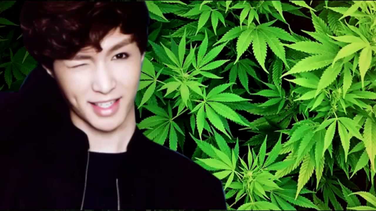 LAY ON CRACK