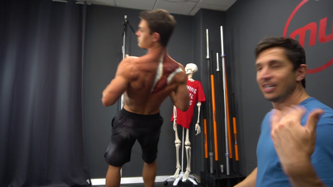 Ring Rows For Mid Trap & Scapula Strength -MoveU