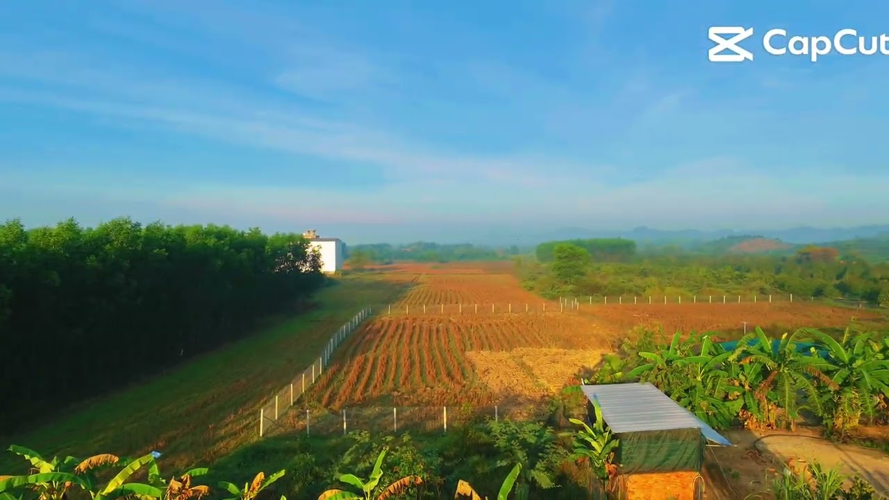 Vườn nhà Dy#bophovevuon #lamvuon 