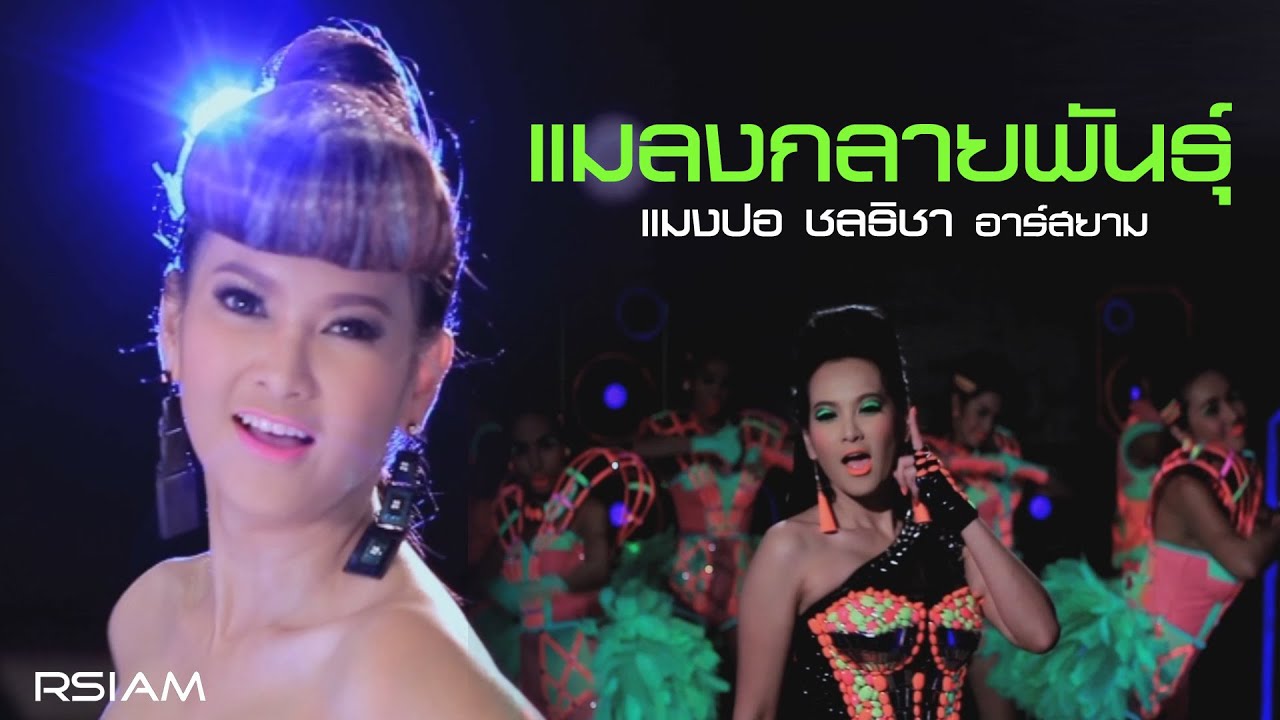 แมลงกลายพันธุ์ : แมงปอ ชลธิชา อาร์สยาม [Official MV]