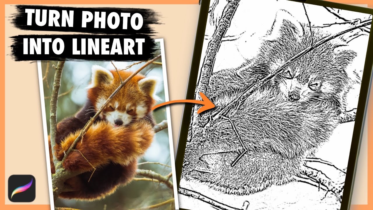 Как превратить фотографии в контурную графику в Procreate! Быстро и просто!