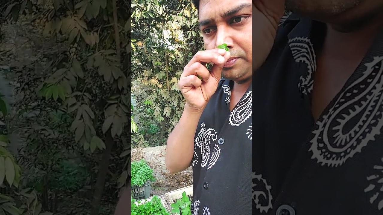 অসাধারণ পরিবেশে গ্রামের বাড়িতে,