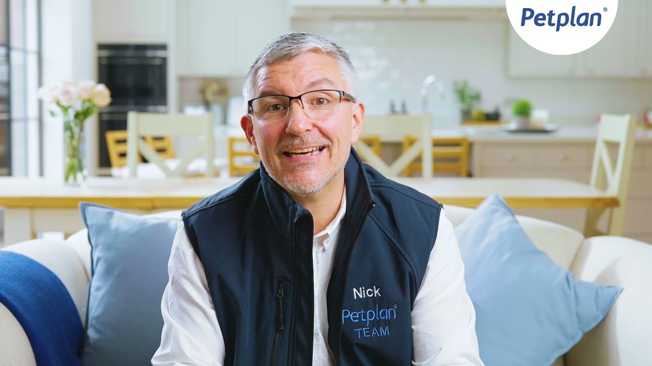 Petplan Pet Behaviourist Expert Nick Jones - Introduction