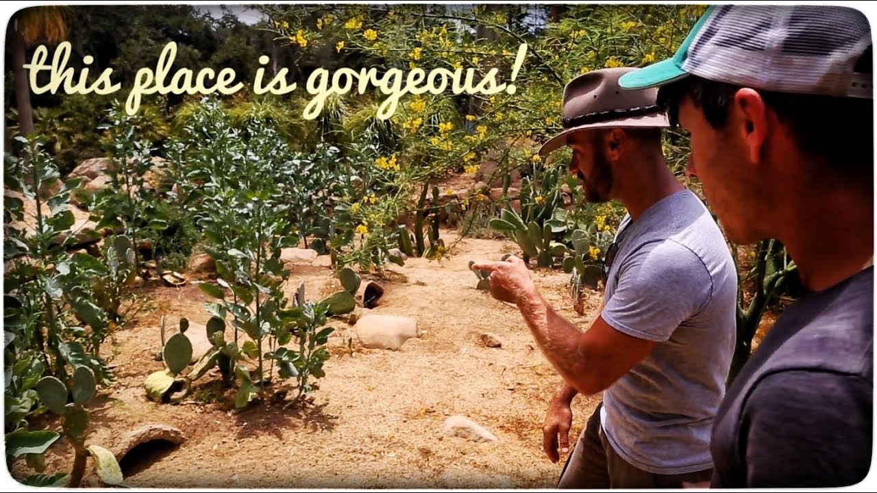 World's Greatest Turtle & Tortoise Sanctuary returns