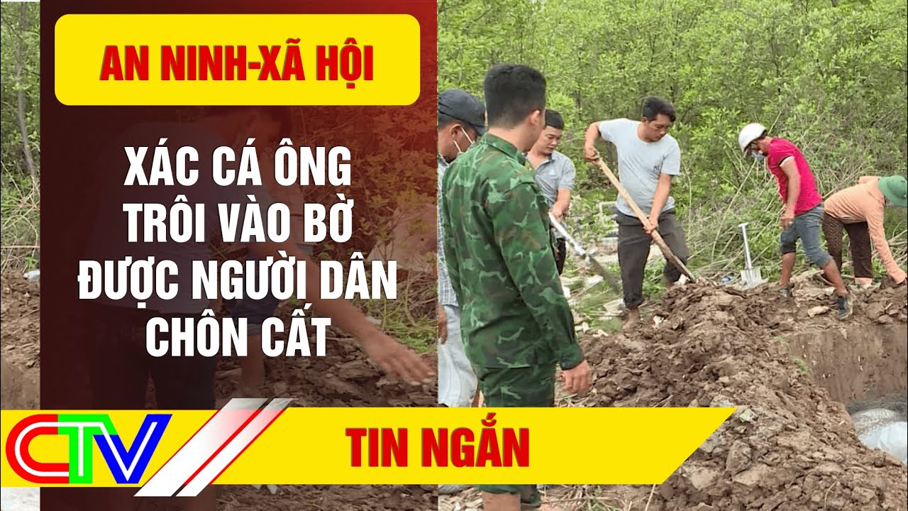 TIN N&Oacute;NG: X&aacute;c c&aacute; &ocirc;ng tr&ocirc;i v&agrave;o bờ được người d&acirc;n ch&ocirc;n cất #Shorts