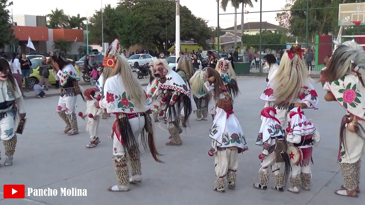 Mix Cedreños Puras Yoremadas Compa
