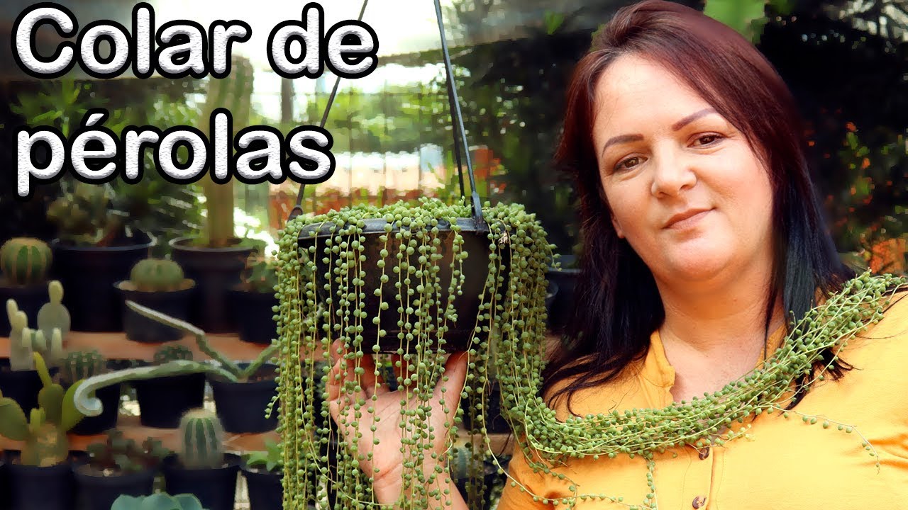 Como CUIDAR do COLAR DE PÉROLAS.