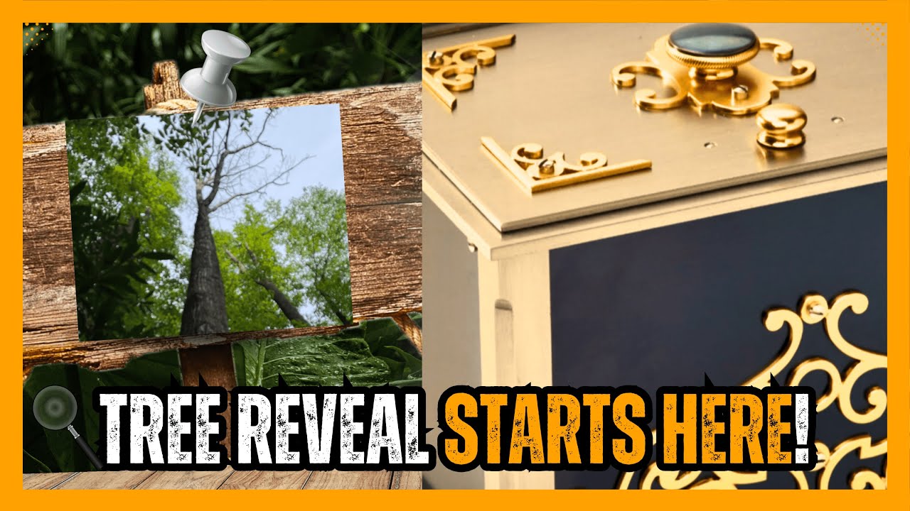 BEGIN HERE! #solved