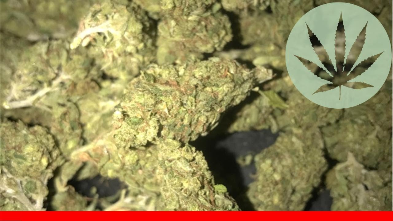 Rose Bud - All About This Strain