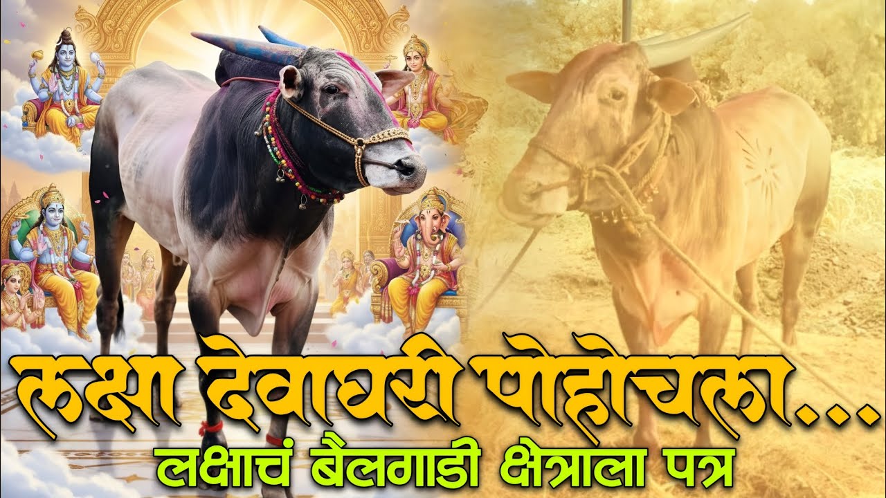 लक्ष्याचे शब्द ऐकून अश्रूंचा बांध फुटेल😭 | काय लिहिलं आहे नक्की | Bailgadi Sharyat | Satarwala Adya 