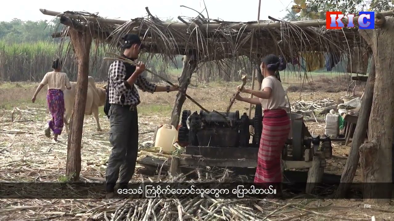 Hlaingbwe sugarcane farmers face livelihood crisis as demand for Jaggery vanishes