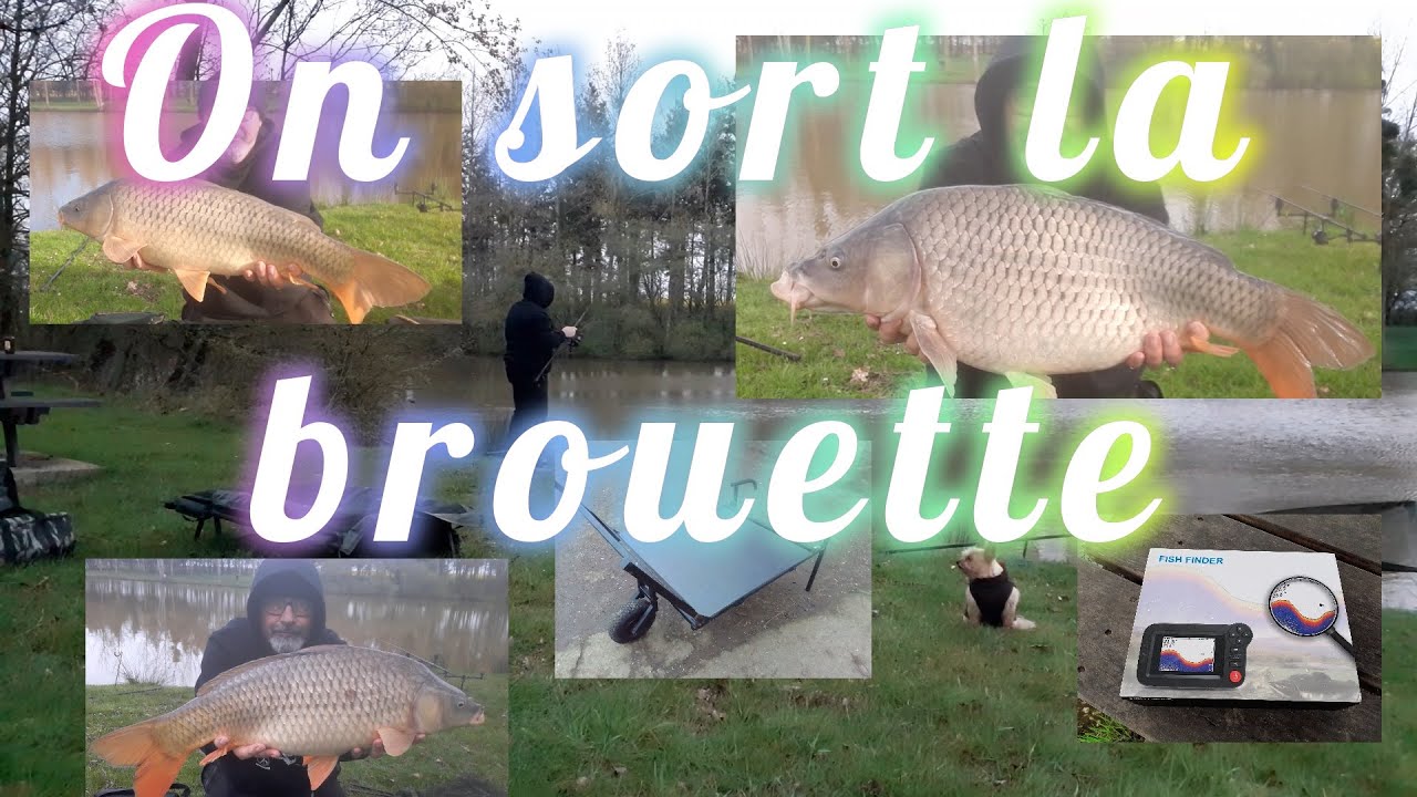 balade en brouette , pour prendre des carpes