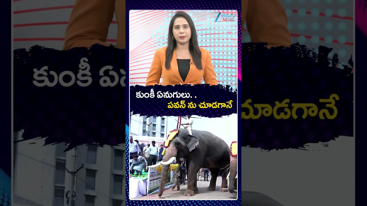 Pawan Kalyan Welcoming Kunki Elephants To Amaravathi | Pawan Kalyan With Elephants |ZEE Telugu News