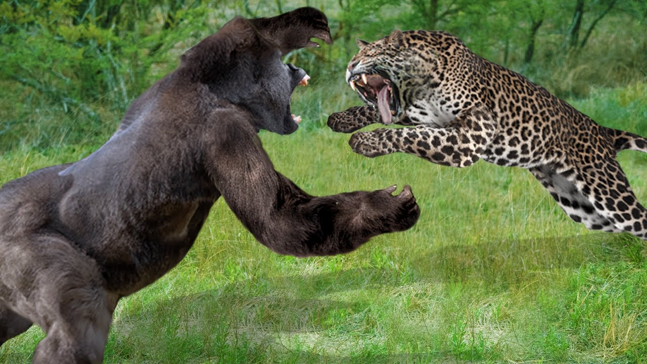 10 Most POWERFUL Land Animals In The World!