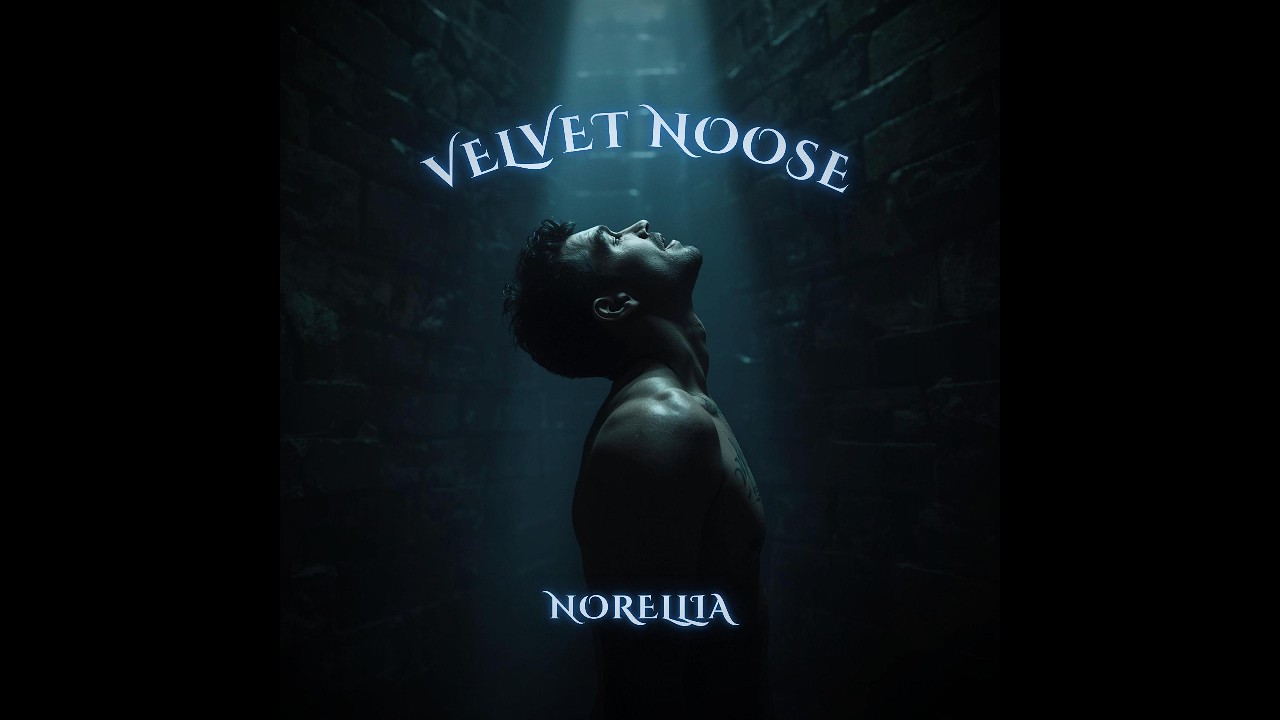 Velvet Noose | This Isn't a Love Song — It's Darker