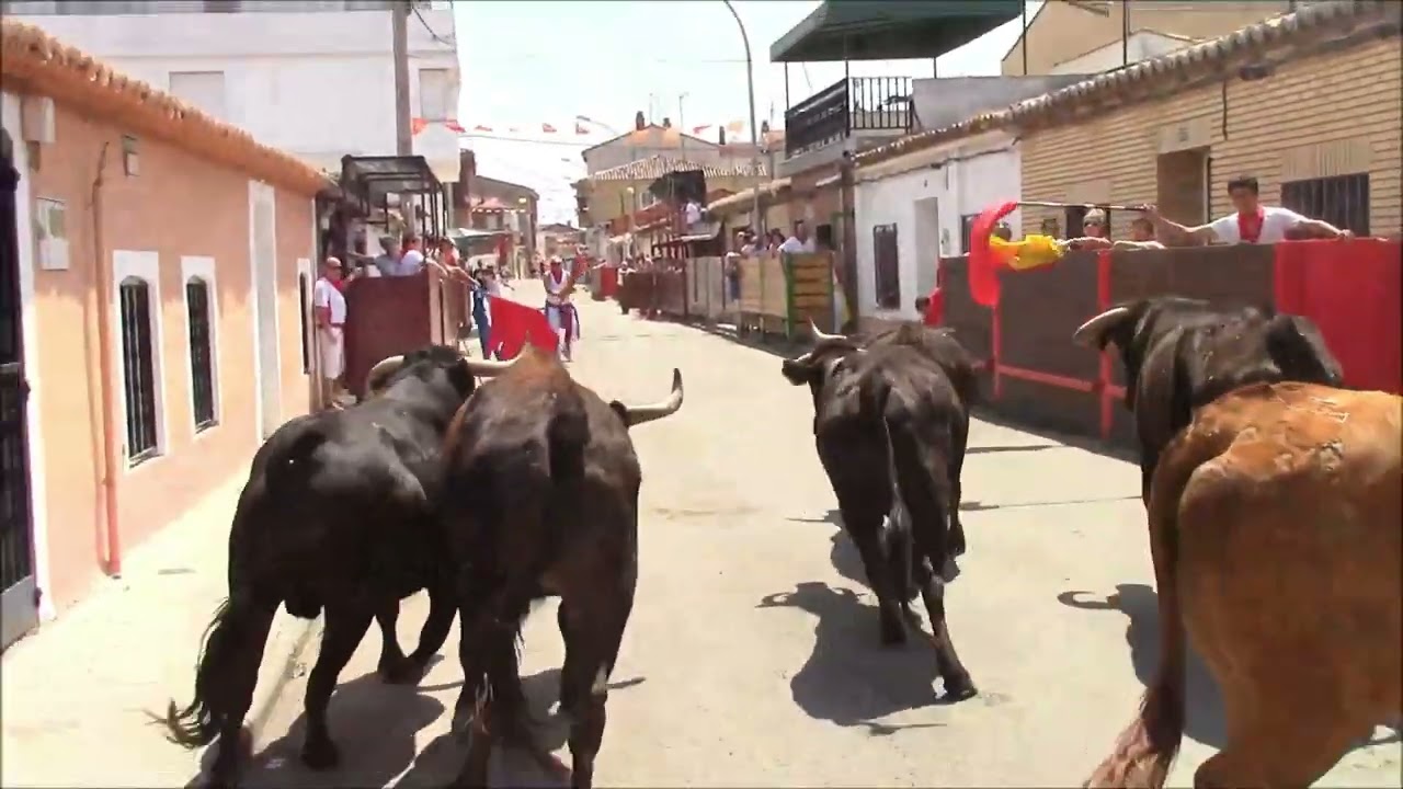 Paseo por Castejón (Navarra)