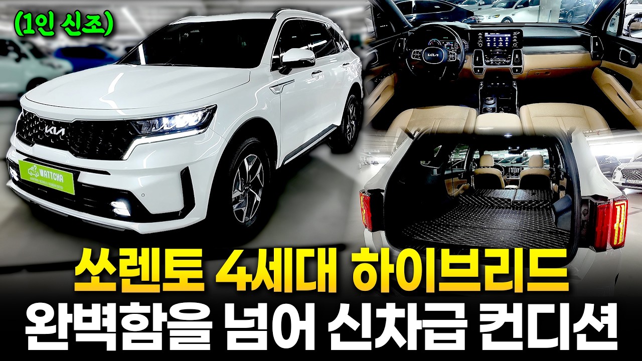 이 가격에 쏘렌토 하이브리드가 가능하다고? 1인 신조 / 완전무사고