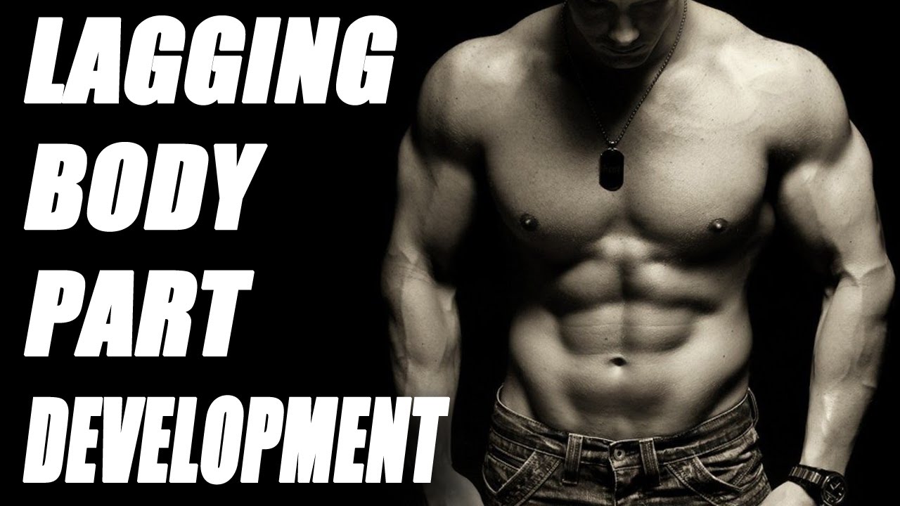 Lagging Body Part? Keys to Weak Body Part Development