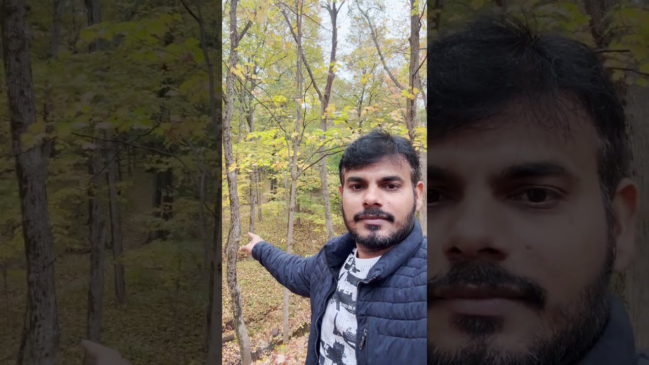 Beautiful Fall Colors Near  My Community 🍁| Nature Walk|#nature #ytshorts #trending