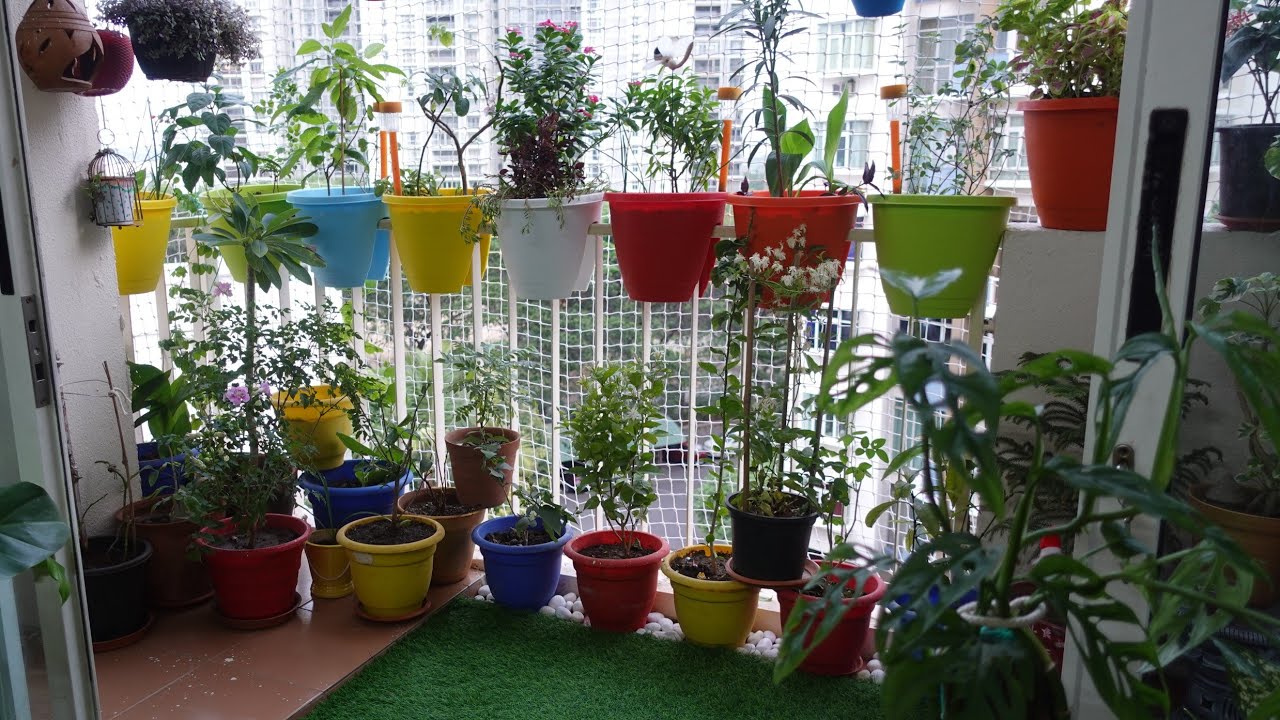 बालकानी गार्डन के लिए सबसे बढिया जुगाड़/New planters for balcony