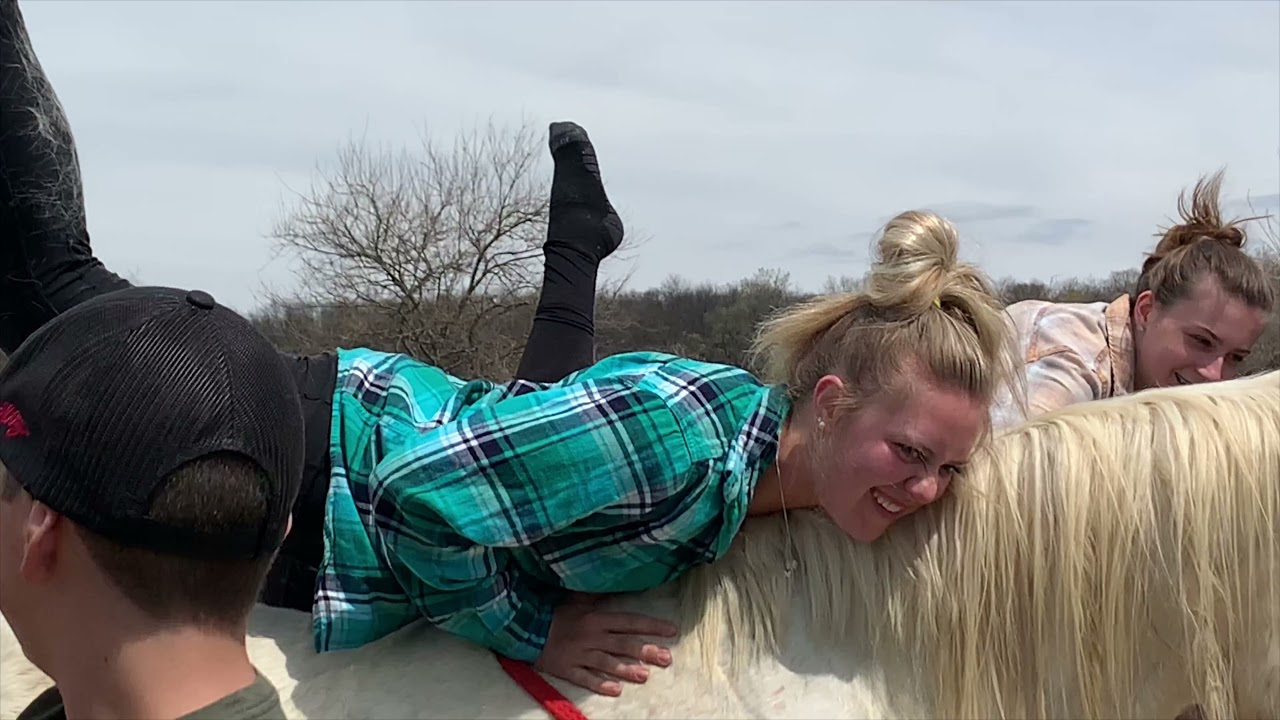 Horse Yoga