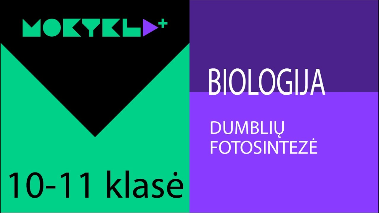 Mokykla+ | Biologija | 10-11 klasė | Dumblių fotosintezė || Laisvės TV X