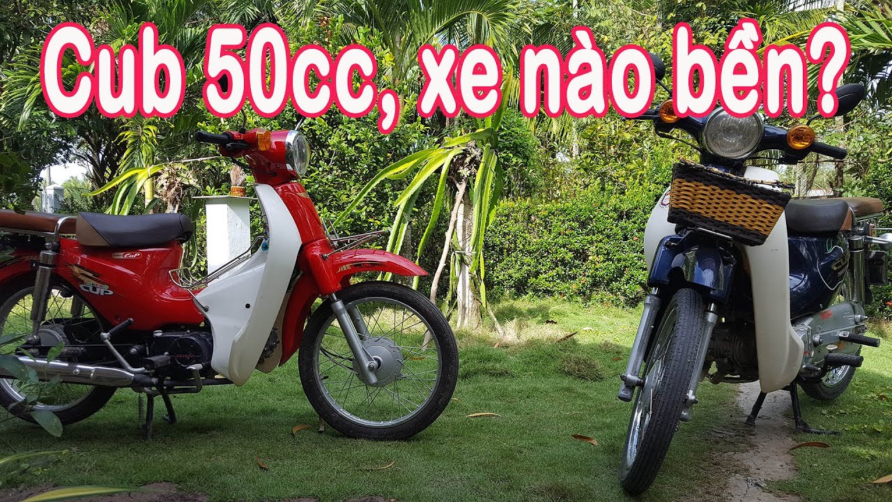 So s&aacute;nh xe Super Cub 50cc Daelim v&agrave; Cup 50 cc Detech - C&aacute;ch chọn mua v&agrave; gi&aacute; b&aacute;n