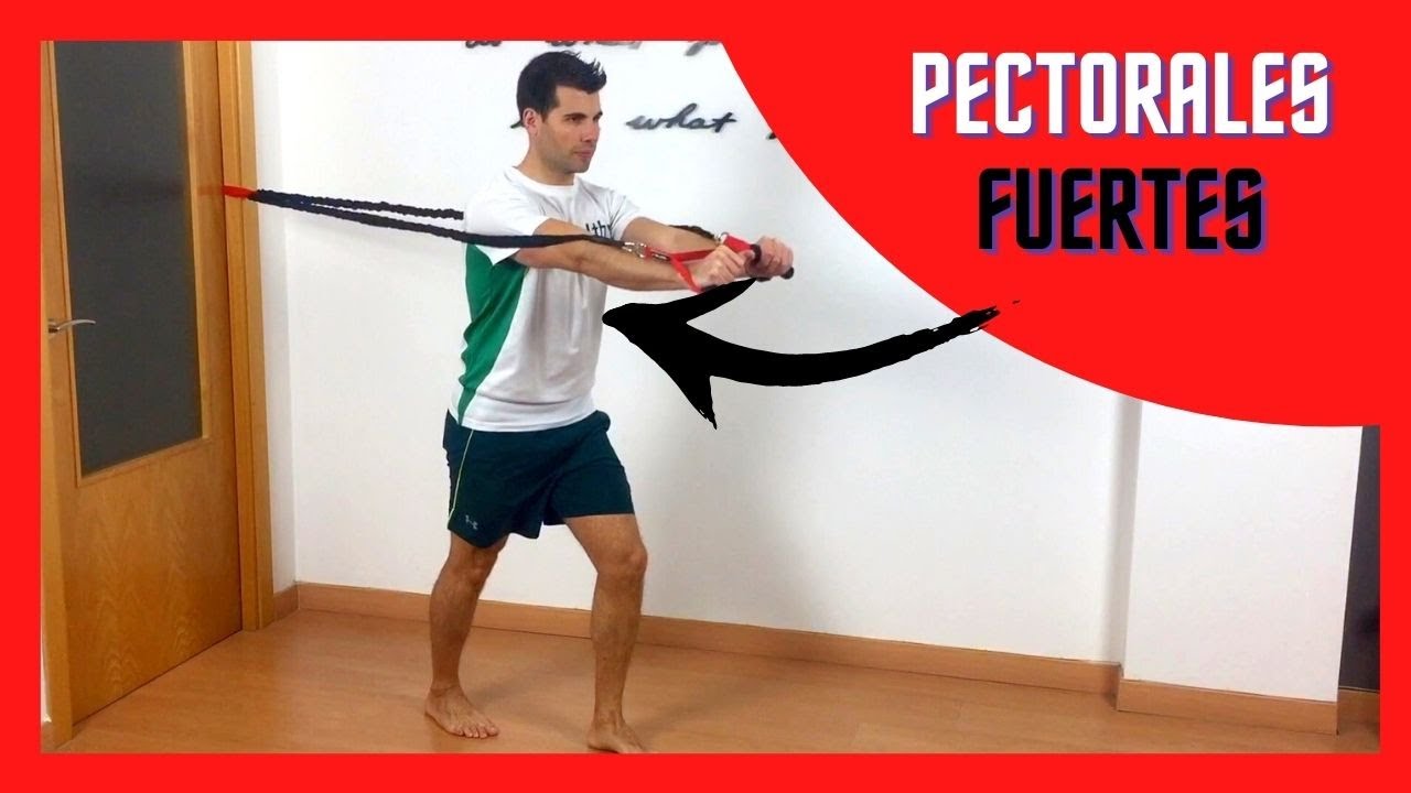 PRESS de PECHO con LIGAS de resistencia 💪 en Casa 🏠 (APRENDE paso a paso)