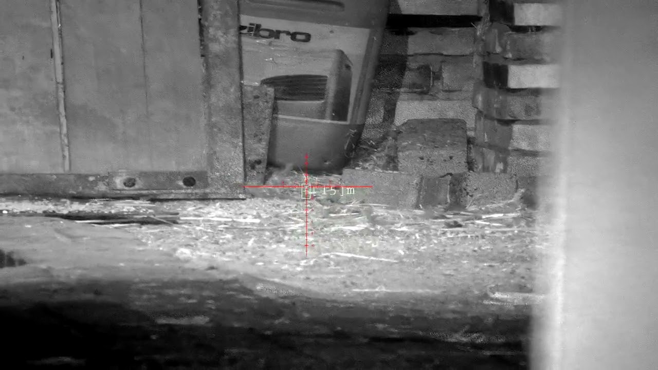 headshot met de pard nv008s-lrf op een fx impact.