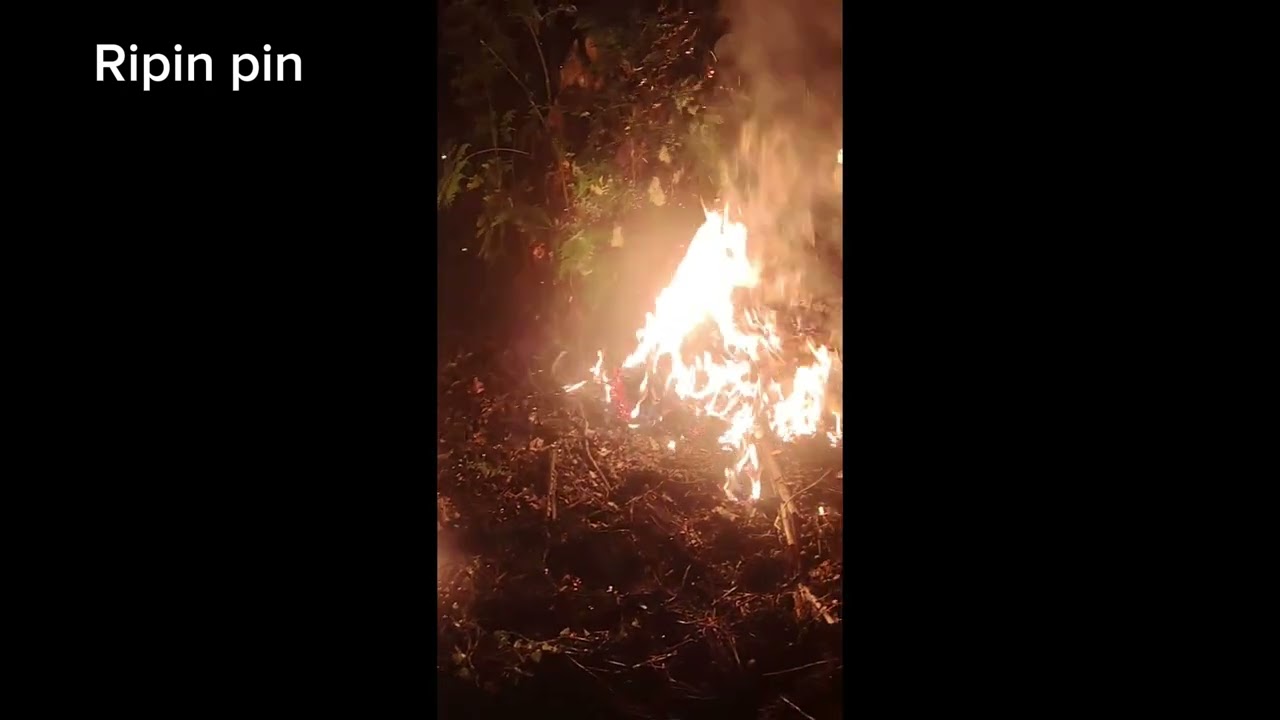 Edisi mengambil penyengat tabuan, cara2 nay macam ini senang je, 