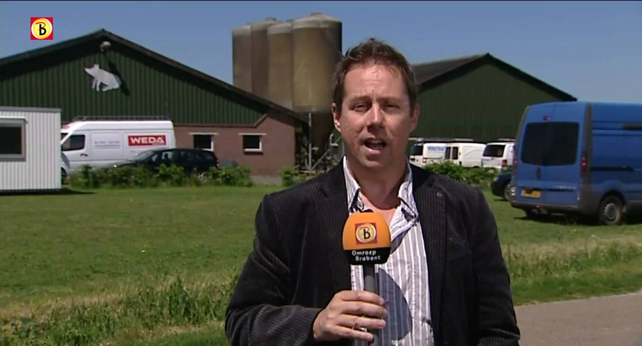 Dode varkens Schaijk lagen er al maanden