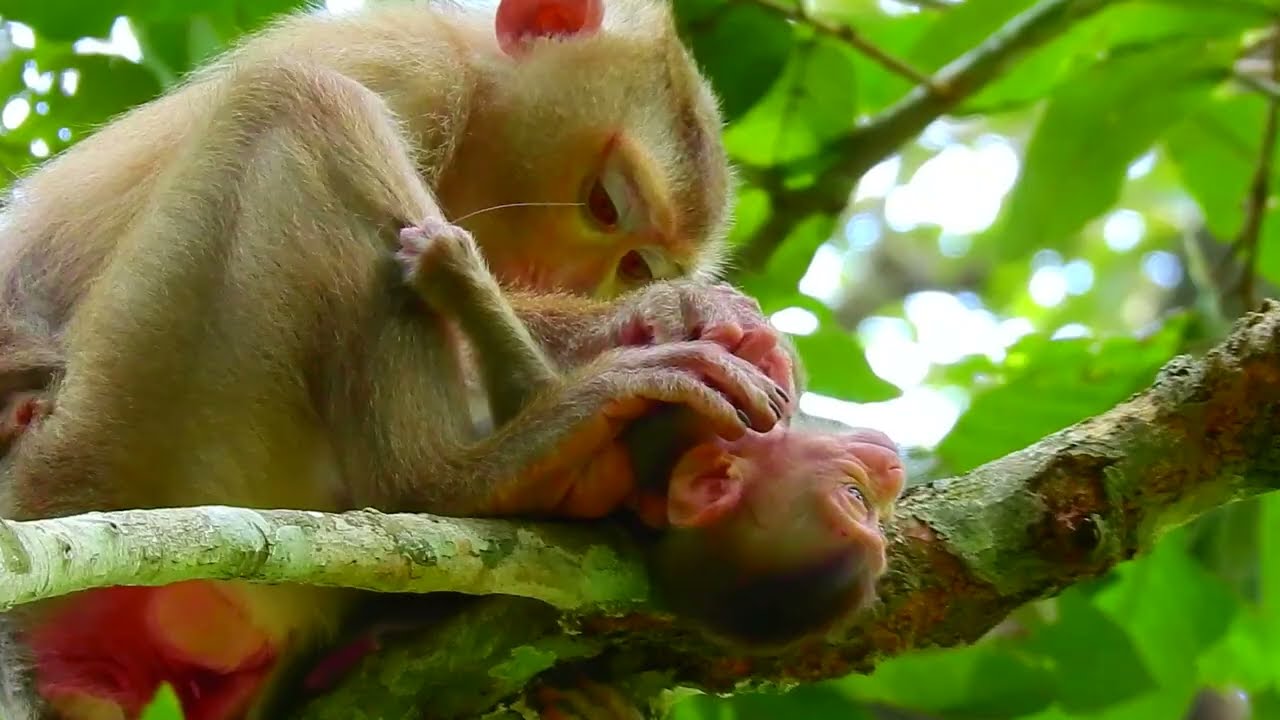 Oh My God Baby Is Calling mum Mum Libby, Please Wait & Takes Me, Baby Said