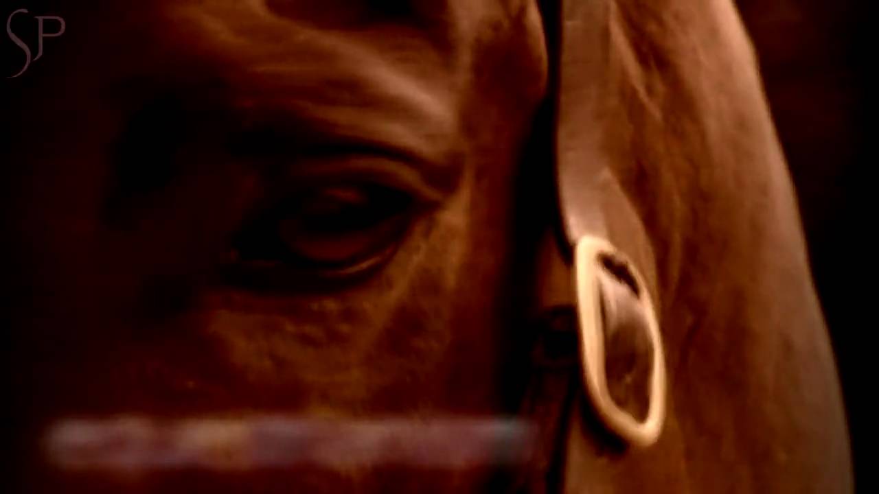 Equestrianism: You Need To Feel It