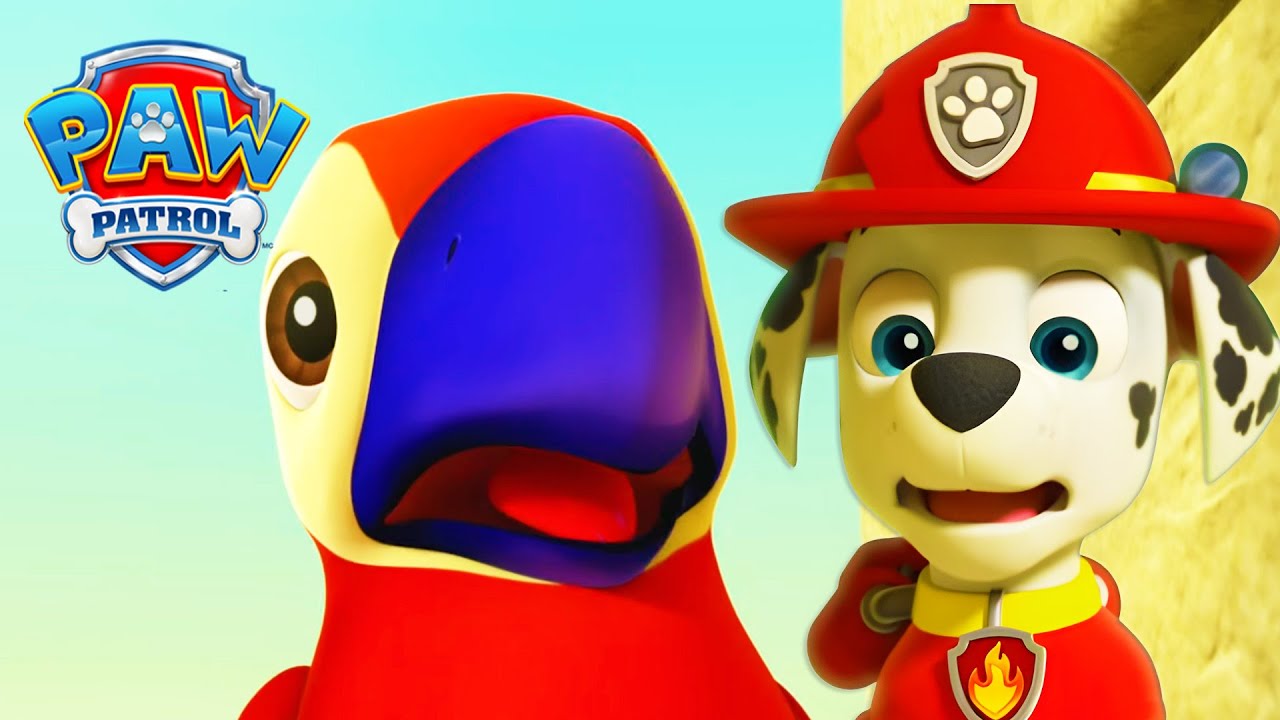 Marshall's Parrot Friend! 🦜 - PAW Patrol - Cartoons for Kids