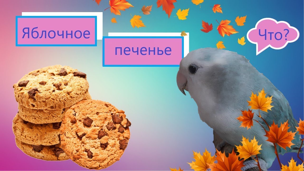 Яблочное печенье для попугая