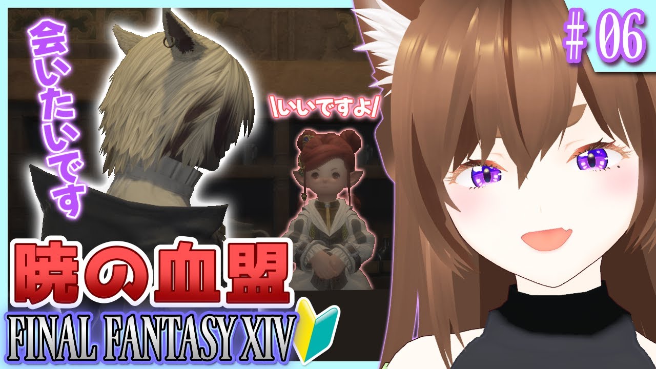 【FF14】暁の血盟の方々に会いたい！｜🌱新生編Part6｜ #06 【FINAL FANTASY XIV】 ＃ネタバレ注意