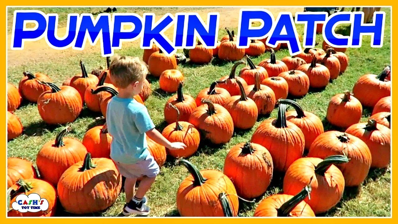 PUMPKIN PATCH Adventures & Activities For Kids