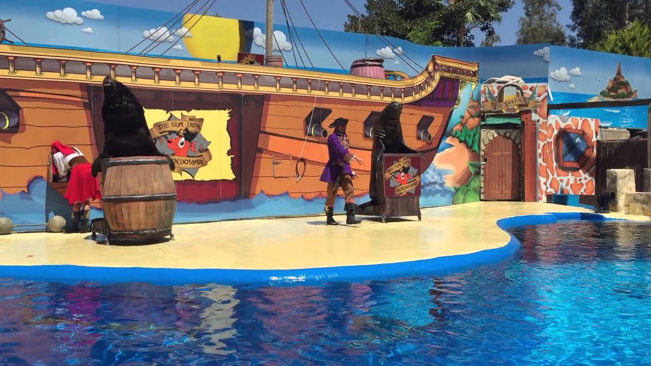 Mundomar - Benidorm Sea Lions