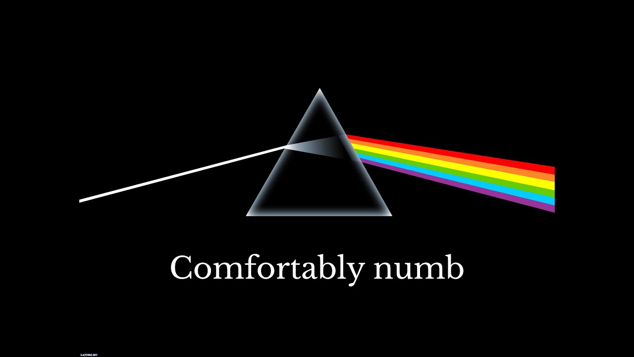 Pink Floyd - Comfortably numb (1 hour)